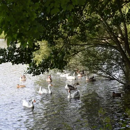 La Terrasse Du Διαμέρισμα Vielsalm